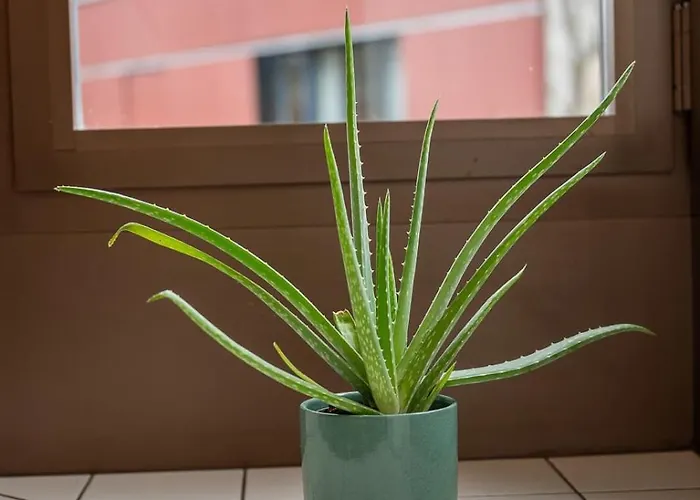 Flat - Balcony & Bundeshaus View Apartment *