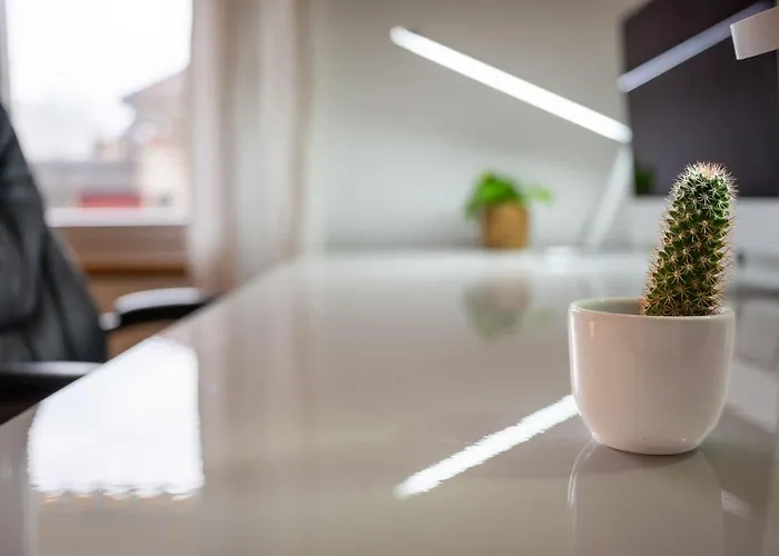 Flat - Balcony & Bundeshaus View